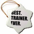3dRose InspirationzStore Typography - Best Trainer Ever, Fun Gift for Training Job Appreciation, Black Text - Ornaments (ORN_185019)