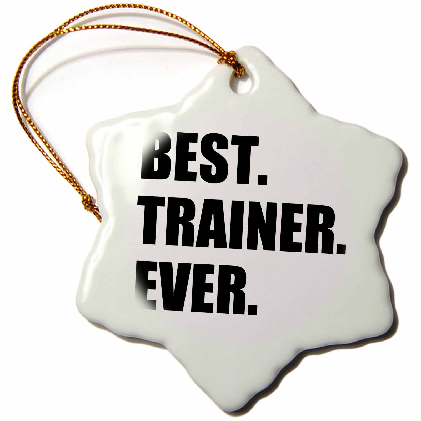 3dRose InspirationzStore Typography - Best Trainer Ever, Fun Gift for Training Job Appreciation, Black Text - Ornaments (ORN_185019)