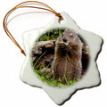 3dRose Danita Delimont - Jaynes Gallery - Animals - USA, Minnesota, Sandstone. Groundhog Feeding on a Flower. - Ornaments (ORN_190777)