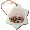 3dRose RinaPiro - Dogs - Shih Tzu. Sleeping. Best Friend. - Ornaments (ORN_220715)
