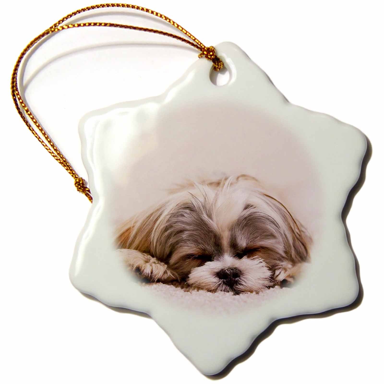 3dRose RinaPiro - Dogs - Shih Tzu. Sleeping. Best Friend. - Ornaments (ORN_220715)