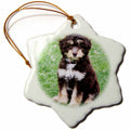 3dRose RinaPiro - Dogs - Aussiedoodle. Puppy. Best Friend. Family Dog. - Ornaments (ORN_232810)