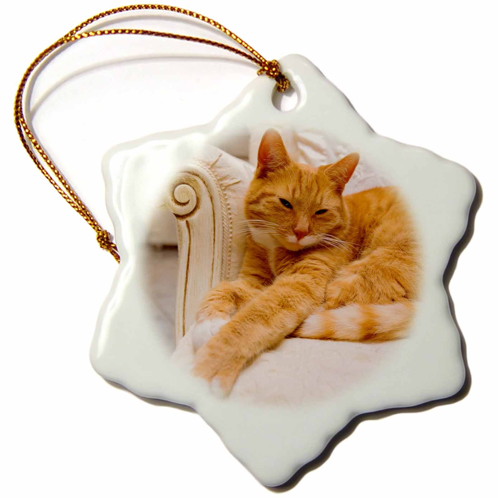 3dRose Carsten Reisinger - Photography - Happy Orange Tabby cat Relaxing on Fancy Armchair - Ornaments (ORN_236171)