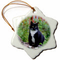 3dRose Beverly Turner Cat Photography - Pretty Female Black and White Tuxedo Cat on a Log - Ornaments (ORN_244147)
