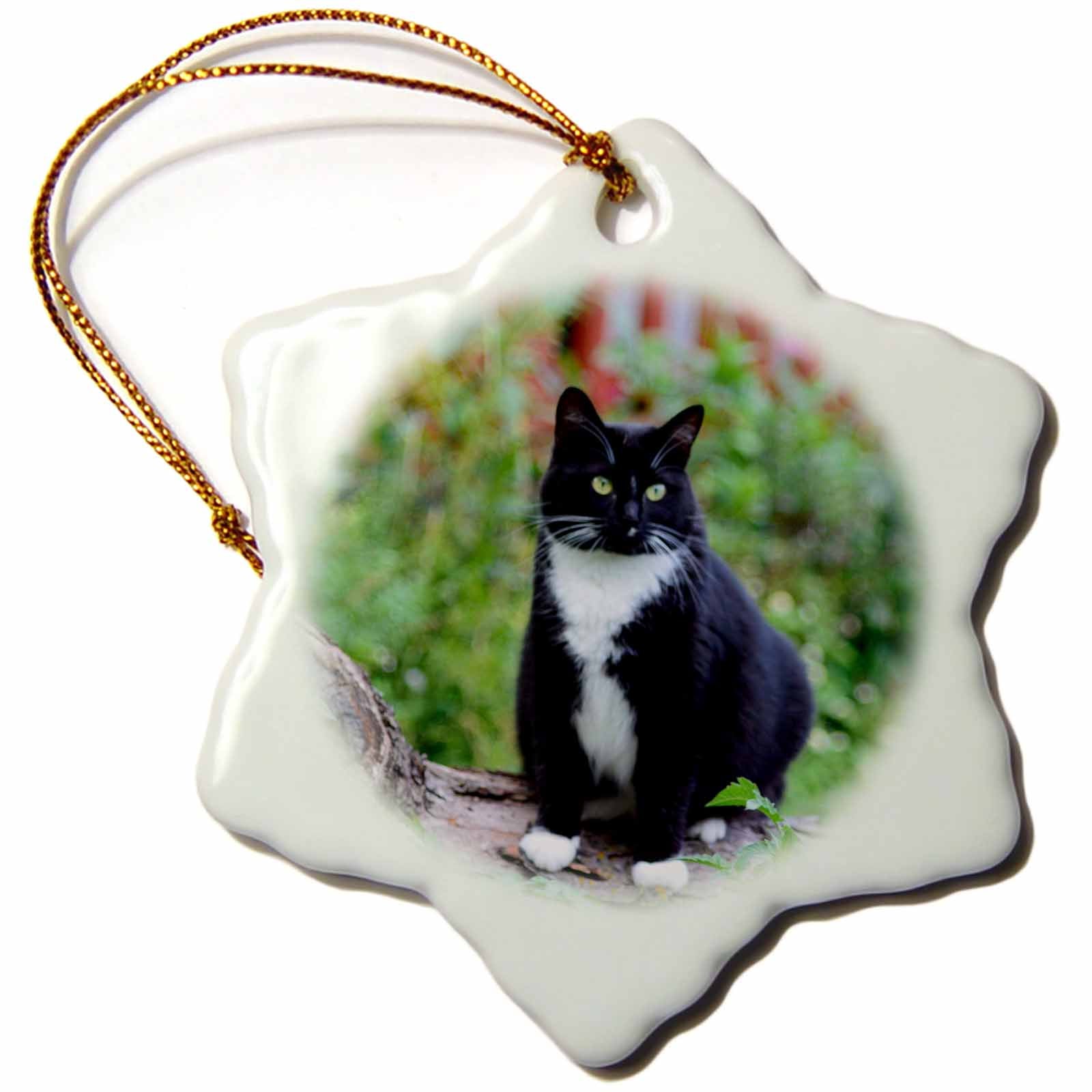 3dRose Beverly Turner Cat Photography - Pretty Female Black and White Tuxedo Cat on a Log - Ornaments (ORN_244147)