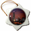 3dRose Sandy Mertens Illinois - Chicago Skyline at Night - Ornaments (ORN_26369)