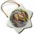 3dRose Wild Animals - Chipmunk - Ornaments (ORN_3109)