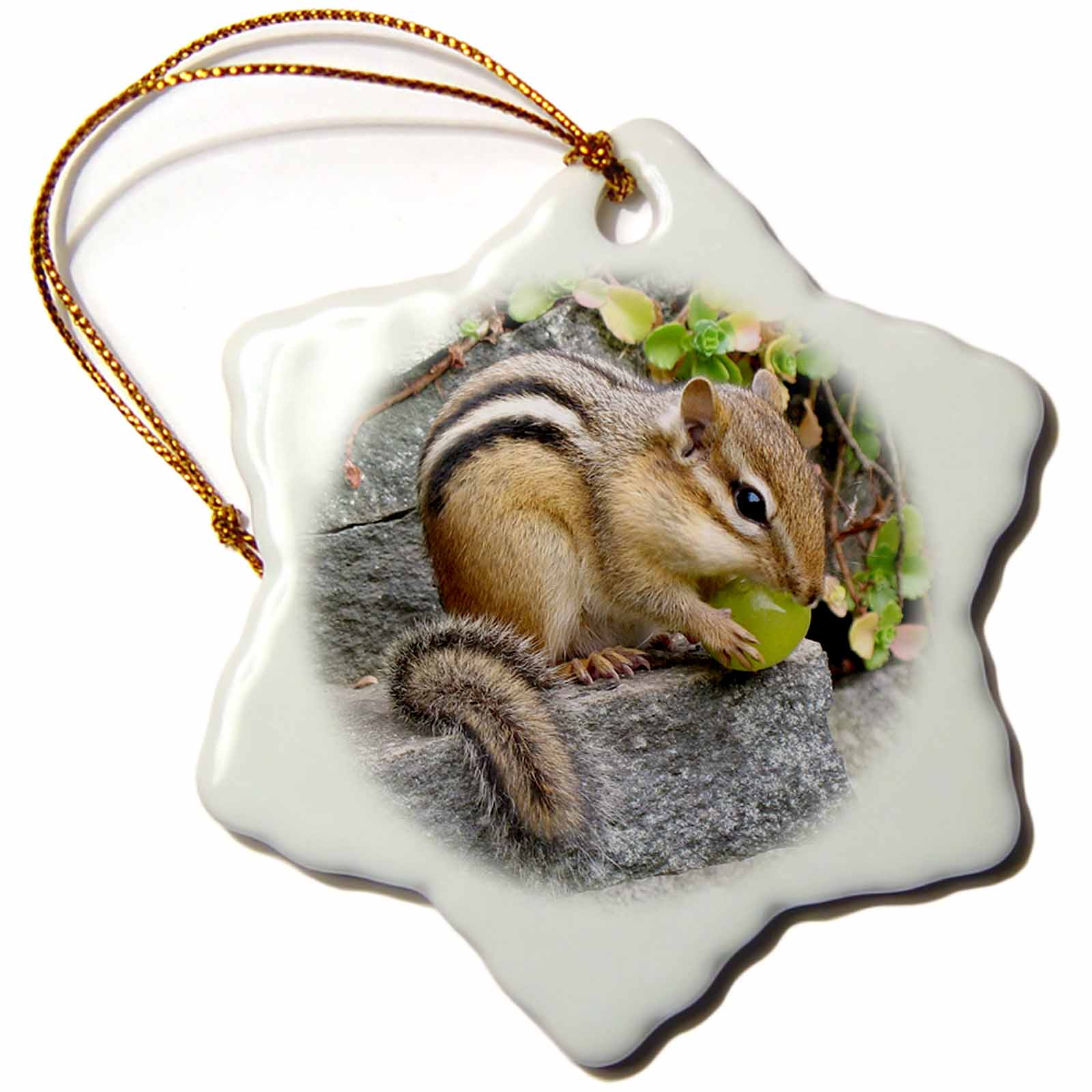 3dRose Wild Animals - Chipmunk - Ornaments (ORN_3109)