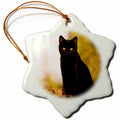 3dRose Cats - Black Cat - Ornaments (ORN_3163)