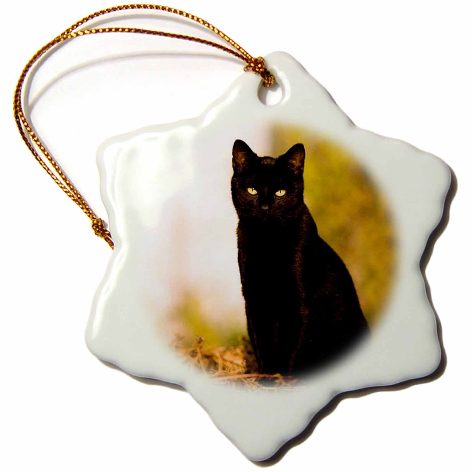 3dRose Cats - Black Cat - Ornaments (ORN_3163)
