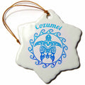 3dRose A Ocean Blue Tribal Turtle for The Mexican Beaches of Cozumel - Ornaments (ORN_318293)