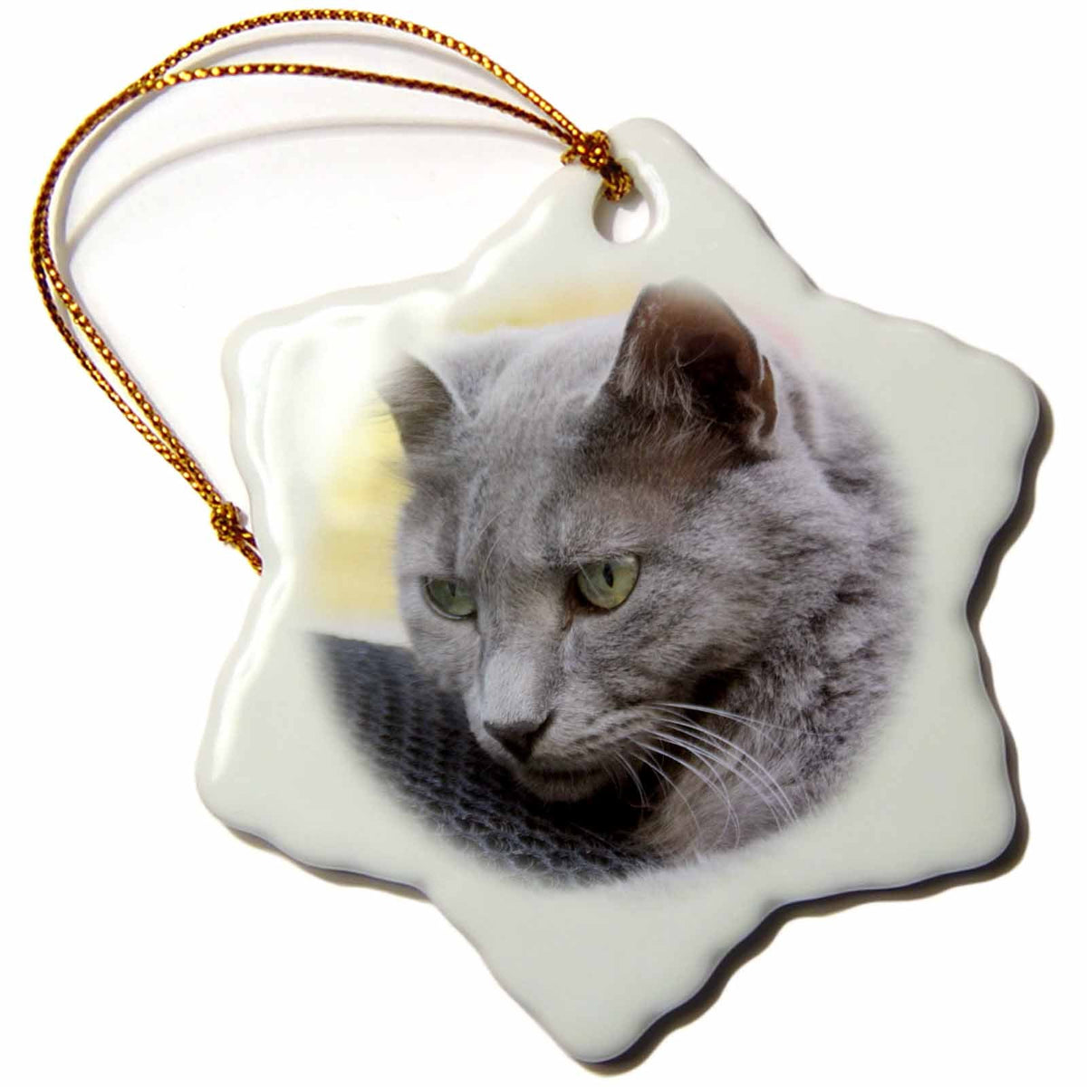 3dRose Gorgeous Grey cat is a Portrait of a Stunning Blue Russian Kitty - Ornaments (ORN_335797)