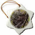 3dRose Rebecca Anne Grant Photography Nature Birds Nest - Empty Bird Nest - Ornaments (ORN_36698)