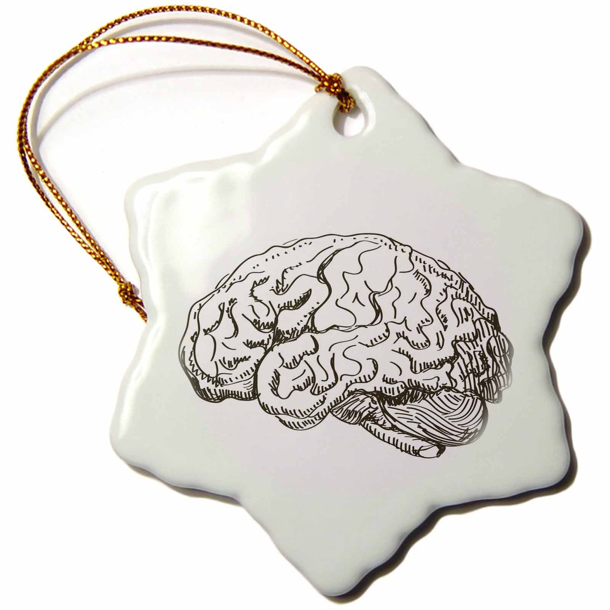 3dRose TNMGraphics Science - Brain - Ornaments (ORN_38393)