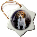 3dRose Dogs Beagle - Beagle - Ornaments (ORN_4021)