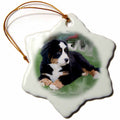 3dRose Dogs Bernese Mountain Dog - Bernese Mountain Dog - Ornaments (ORN_4038)