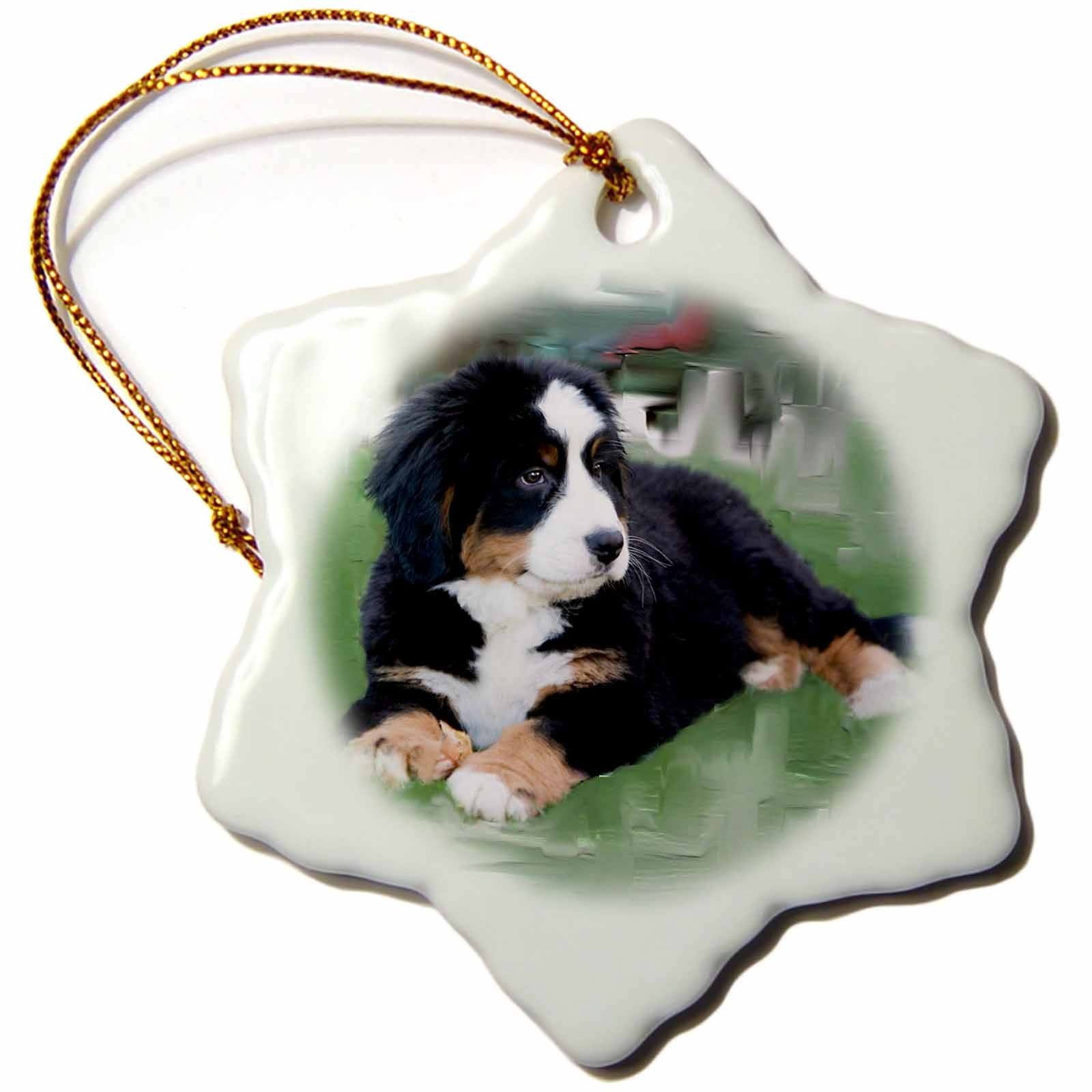 3dRose Dogs Bernese Mountain Dog - Bernese Mountain Dog - Ornaments (ORN_4038)