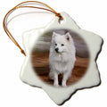 3dRose Dogs American Eskimo - American Eskimo Toy Dog - Ornaments (ORN_4178)