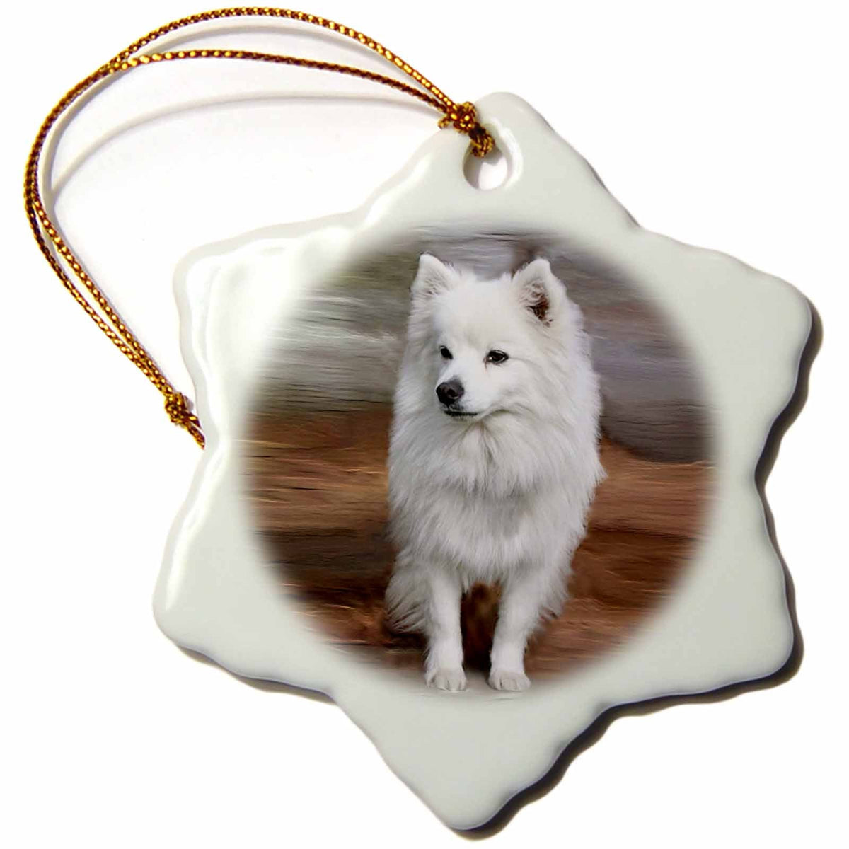 3dRose Dogs American Eskimo - American Eskimo Toy Dog - Ornaments (ORN_4178)