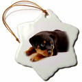 3dRose Dogs Rottweiler - Rottweiler Puppy - Ornaments (ORN_4185)