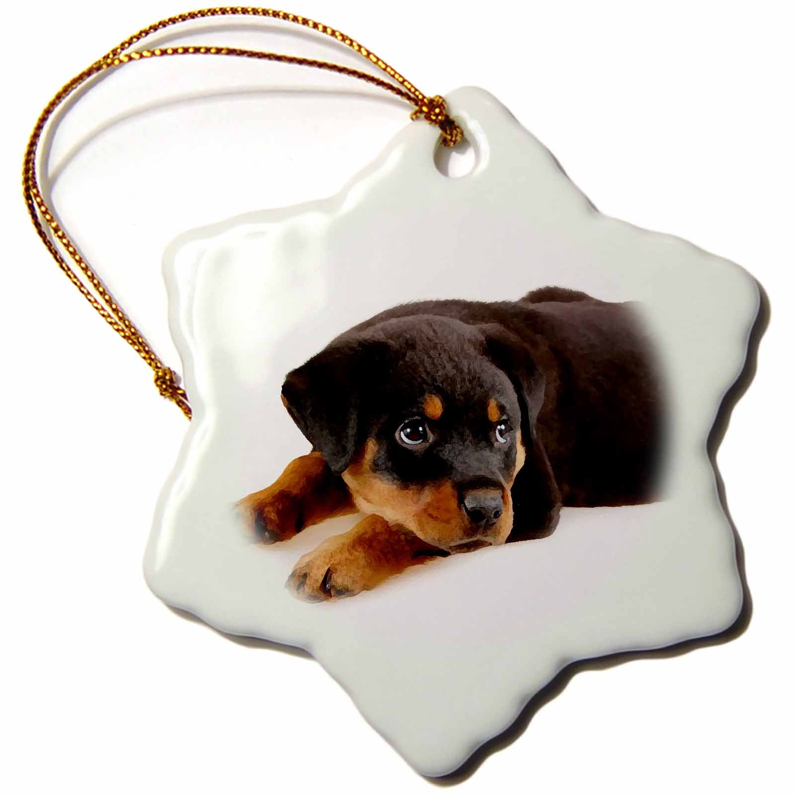 3dRose Dogs Rottweiler - Rottweiler Puppy - Ornaments (ORN_4185)