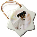3dRose Dogs Jack Russell Terrier - Jack Russell Terrier - Ornaments (ORN_4236)