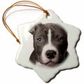 3dRose Dogs Pitbull - American Pit Bull Terrier Puppy - Ornaments (ORN_4240)