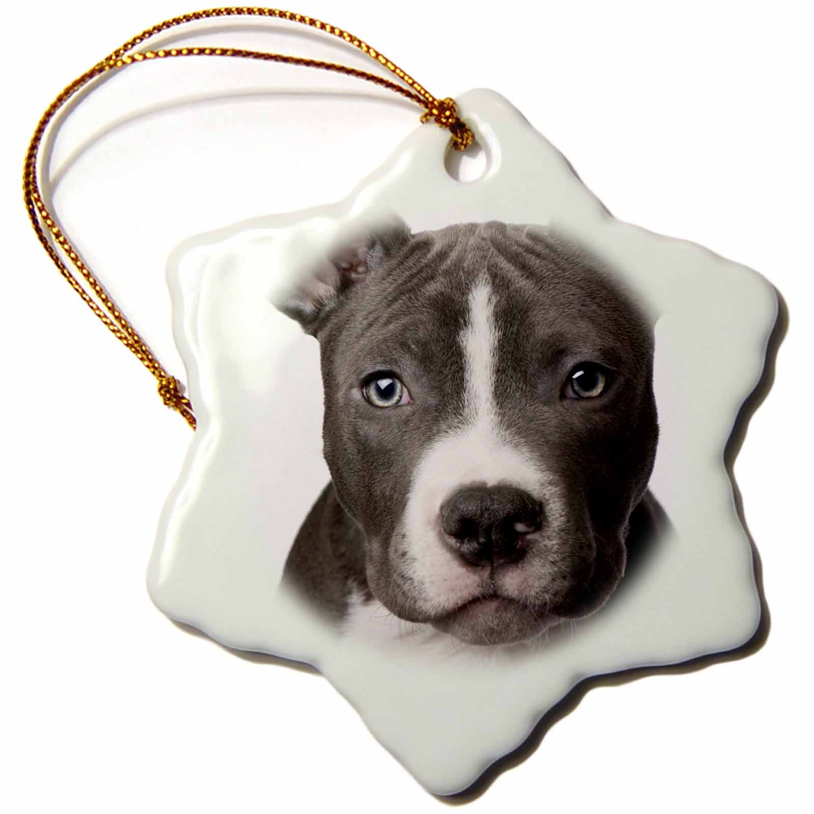 3dRose Dogs Pitbull - American Pit Bull Terrier Puppy - Ornaments (ORN_4240)