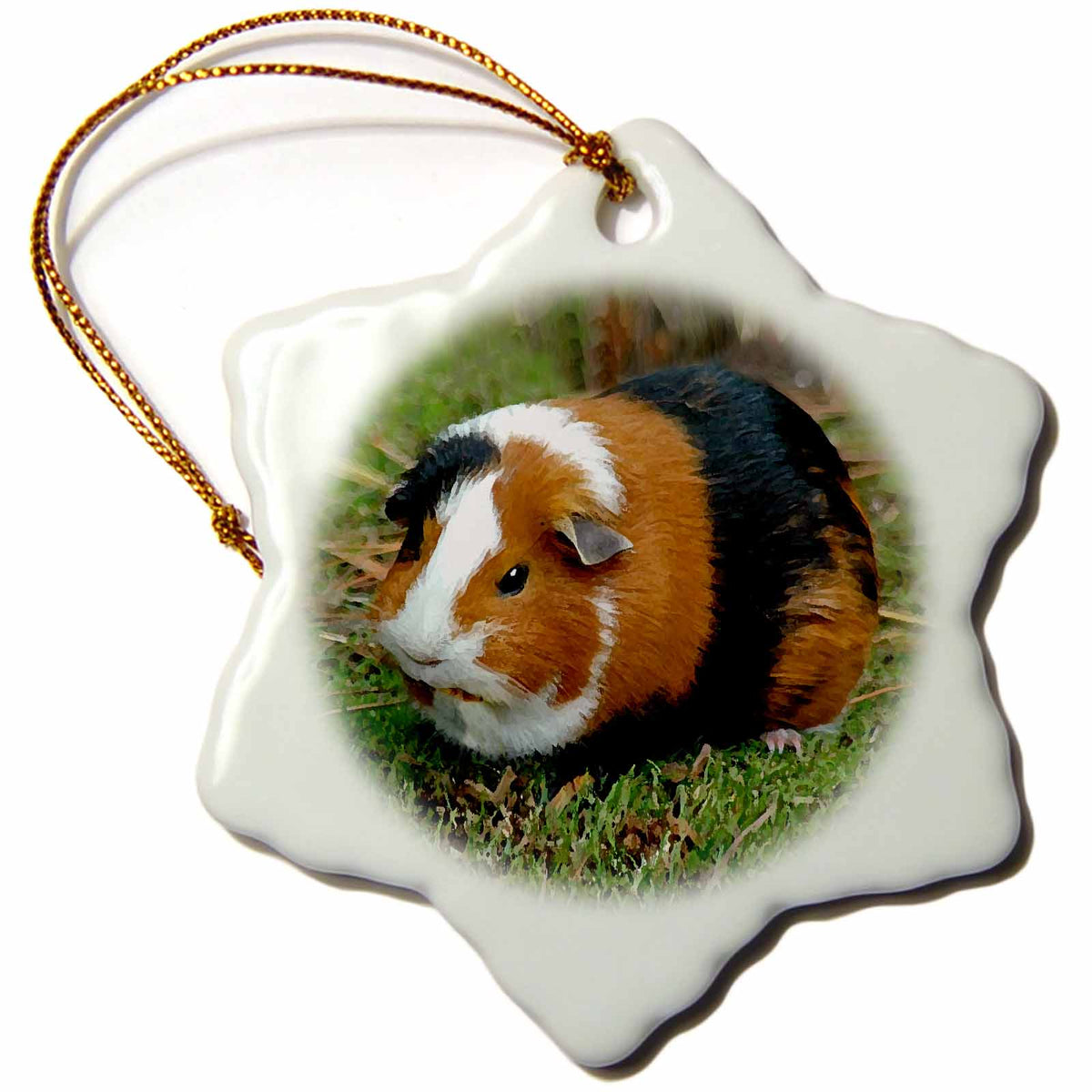 3dRose Guinea Pig - Guinea Pig - Ornaments (ORN_4249)