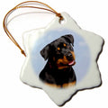 3dRose Dogs Rottweiler - Rottweiler - Ornaments (ORN_4375)