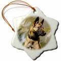 3dRose Dogs Belgian Malinois - Belgian Malinois - Ornaments (ORN_4385)