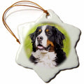 3dRose Dogs Bernese Mountain Dog - Bernese Mountain Dog - Ornaments (ORN_4402)