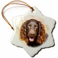 3dRose Dogs Boykin Spaniel - Boykin Spaniel - Ornaments (ORN_4432)