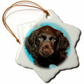 3dRose Dogs Boykin Spaniel - Boykin Spaniel Puppy - Ornaments (ORN_4433)