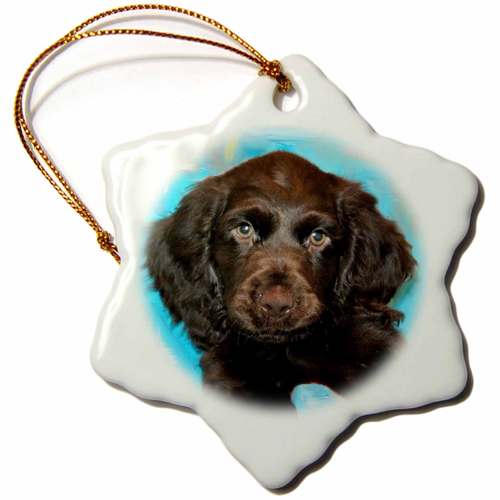 3dRose Dogs Boykin Spaniel - Boykin Spaniel Puppy - Ornaments (ORN_4433)