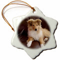 3dRose Dogs Rough Collie - Rough Collie Puppy - Ornaments (ORN_4546)