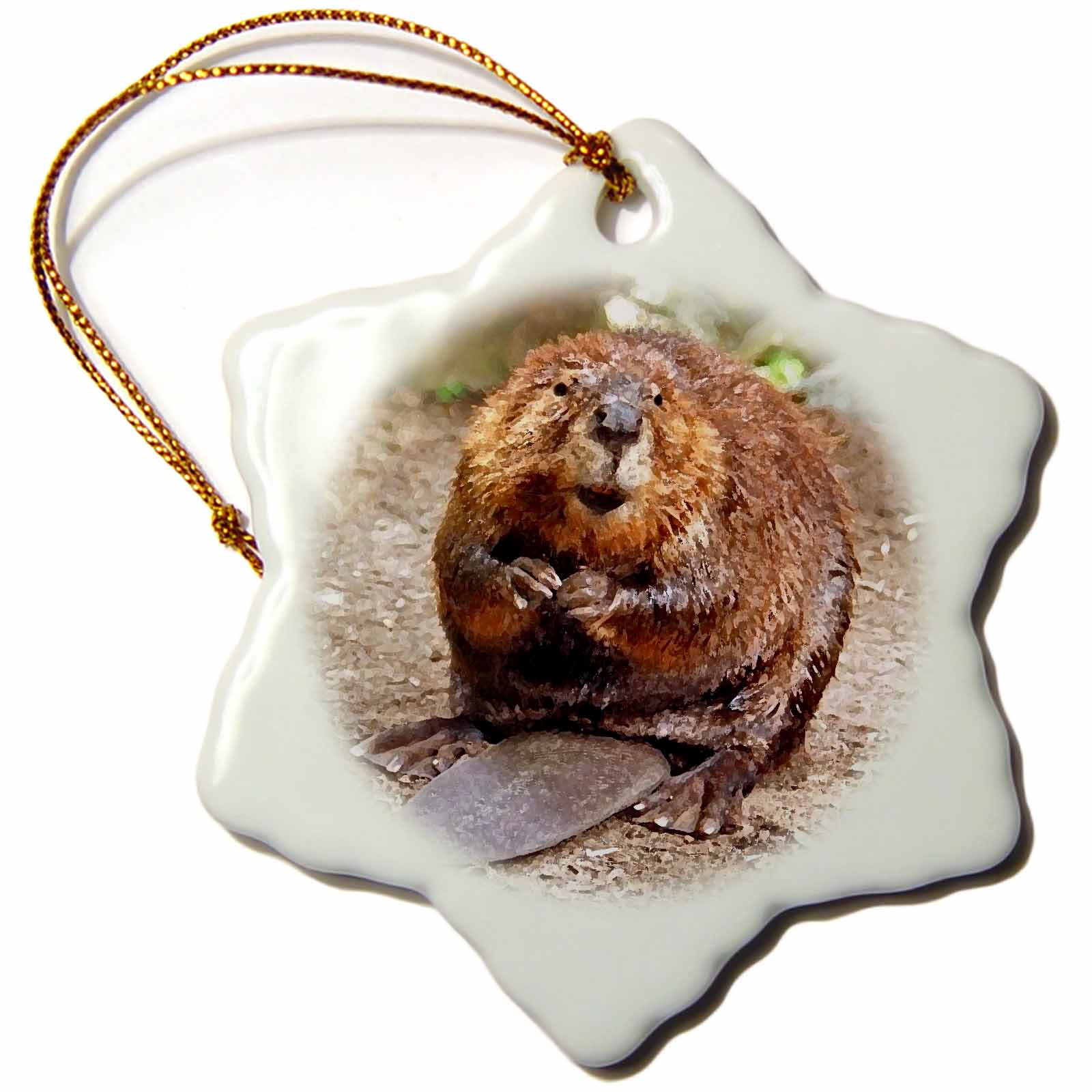 3dRose Wild Animals - Beaver - Ornaments (ORN_4660)