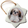 3dRose Dogs Shihtzu - Shih Tzu Puppy - Ornaments (ORN_4807)