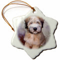 3dRose Dogs Soft Coated Wheaten Terrier - Soft Coated Wheaten Terrier - Ornaments (ORN_4810)