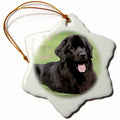 3dRose Dogs Newfoundland - Newfoundland - Ornaments (ORN_4828)
