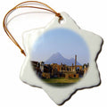 3dRose Florene Landscape - Vesuvius Volcano at Pompei Italy - Ornaments (ORN_50260)