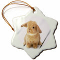 3dRose Florene Animals - Adorable Barbara Bunny Rabbit - Ornaments (ORN_55173)