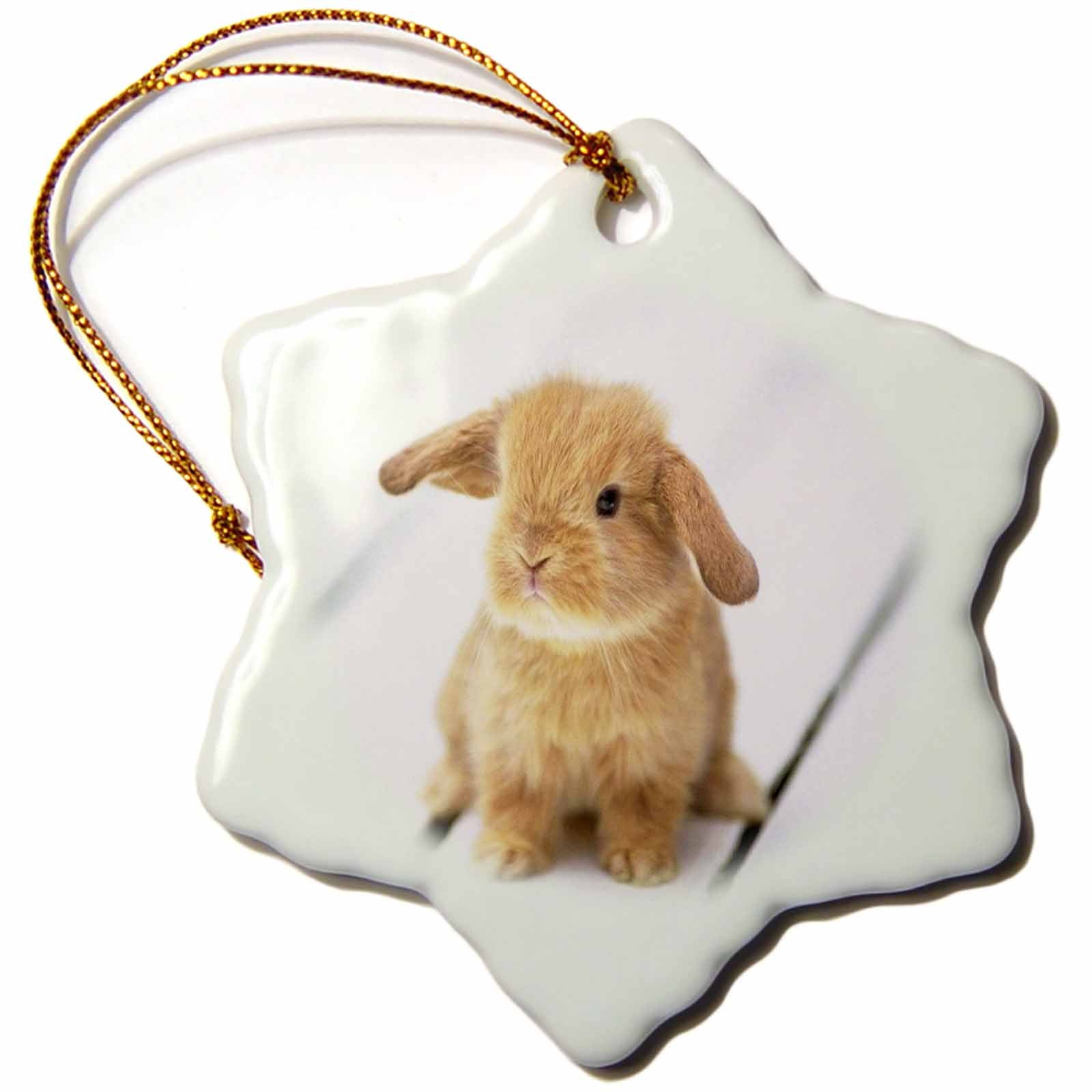 3dRose Florene Animals - Adorable Barbara Bunny Rabbit - Ornaments (ORN_55173)