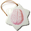 3dRose TNMGraphics Anatomy - Pink Brain - Ornaments (ORN_62702)