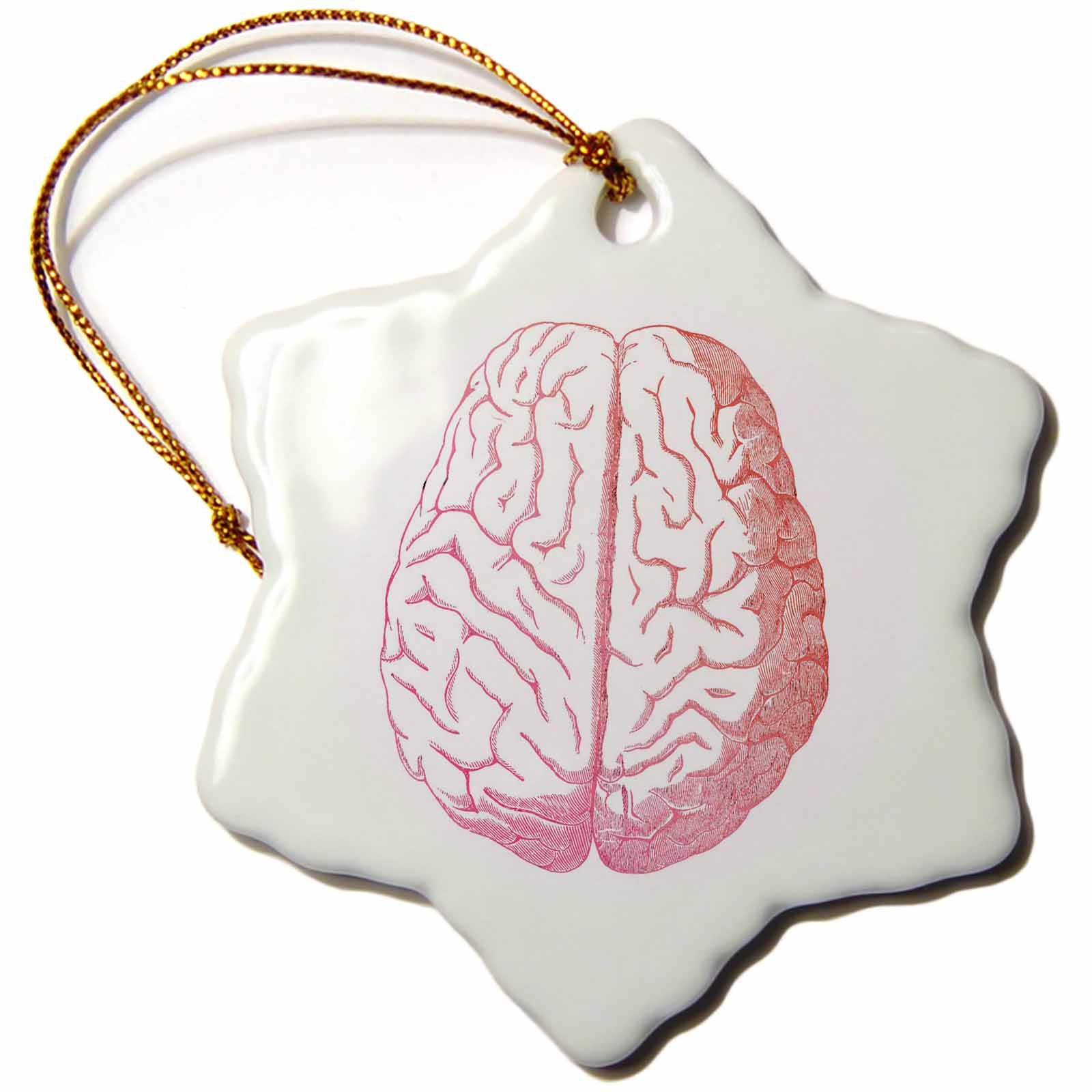3dRose TNMGraphics Anatomy - Pink Brain - Ornaments (ORN_62702)