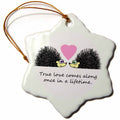 3dRose Janna Salak Designs Love - True Love Comes Along Once in a Lifetime – Cute Hedgehog Love Design - Ornaments (ORN_6307)
