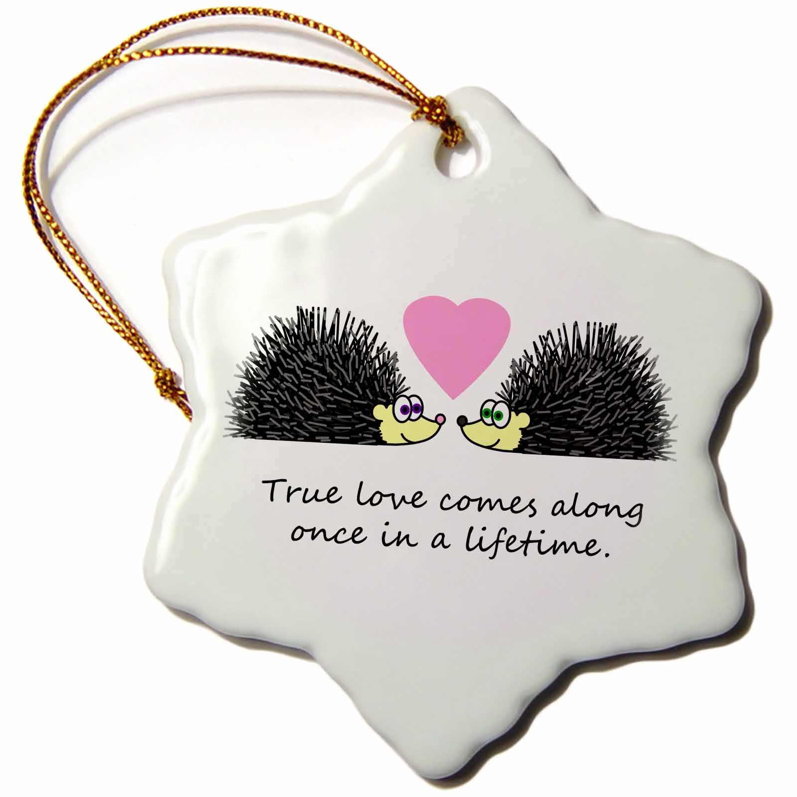 3dRose Janna Salak Designs Love - True Love Comes Along Once in a Lifetime – Cute Hedgehog Love Design - Ornaments (ORN_6307)