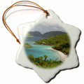 3dRose Danita Delimont - Bays - USVI, St. John, Trunk Bay, Virgin Islands NP-CA37 CMI0147 - Cindy Miller Hopkins - Ornaments (ORN_70005)