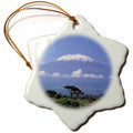 3dRose Danita Delimont - Mountains - Africa, Tanzania, Mt Kilimanjaro, Landscape and zebra-AF45 GJE0018 - Gavriel Jecan - Ornaments (ORN_73850)