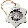 3dRose Sandy Mertens Natures Fury - I Survived Hurricane Sandy - Ornaments (ORN_76777)